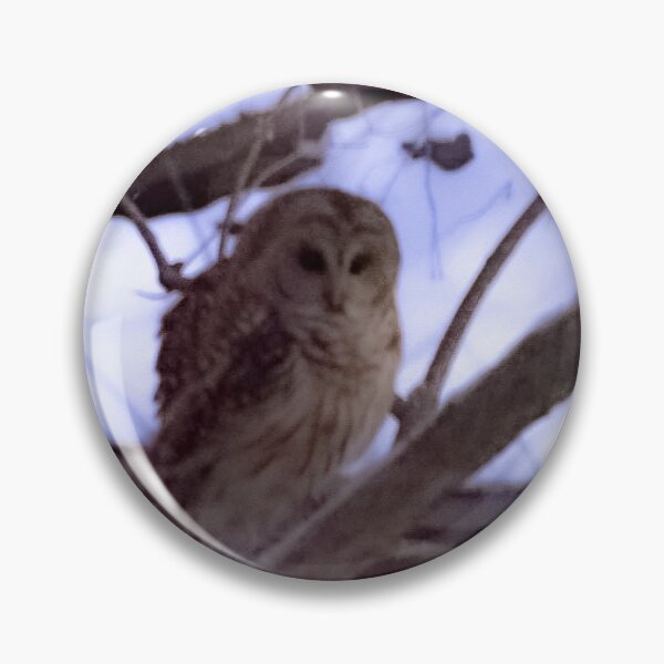 Artikelvorschau, Barred Owl entworfen und verkauft von PennyDesignsArt.