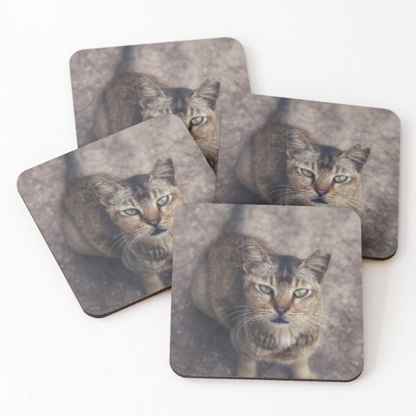 Item preview, Curiosity and the Cat designed and sold by Ashka Saxena.