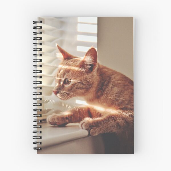 Item preview, Ginger Cat in the Sun designed and sold by Ashka Saxena.