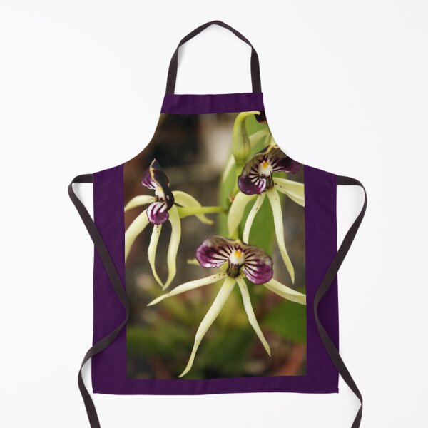 Item preview, Cockleshell orchids designed and sold by Esther Moliné.
