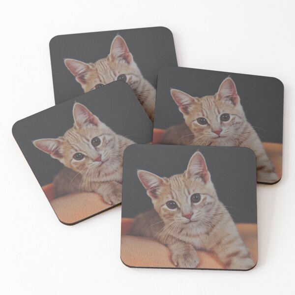 Item preview, Ginger Cat designed and sold by Ashka Saxena.