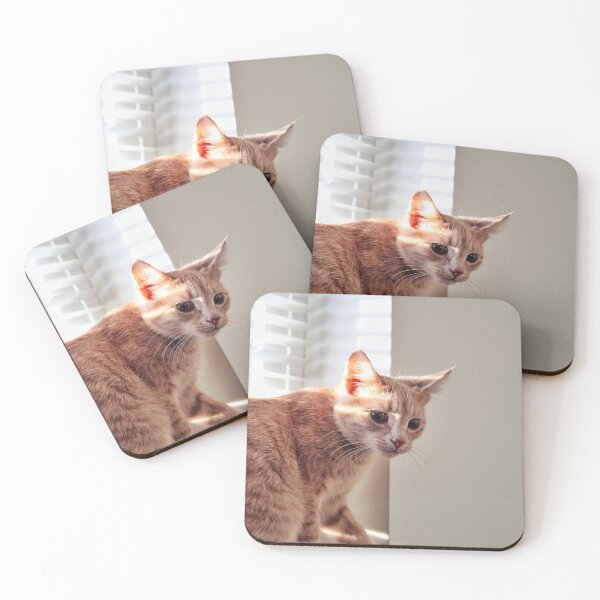 Item preview, Cat on a Window designed and sold by Ashka Saxena.