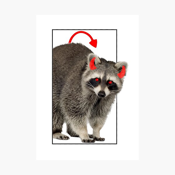 Bad racoon Bad racoon