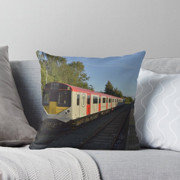 Item preview, TfW Class 230 at Wrexham General  designed and sold by EngPhotography.