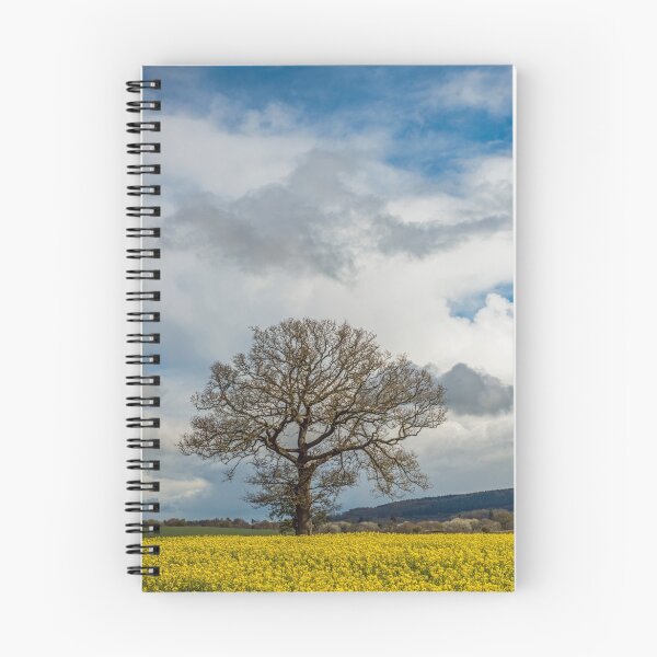 Item preview, Oil Seed Rape Field and Oak Tree designed and sold by Cameranick.