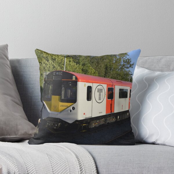 Item preview, TfW Class 230 at Wrexham General designed and sold by EngPhotography.