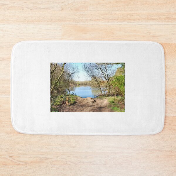 Item preview, The lake through the trees. designed and sold by ronsaunders47.