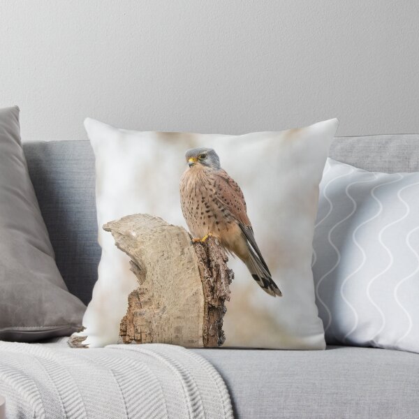 Item preview, Common Kestrel designed and sold by Steve Liptrot Photography.