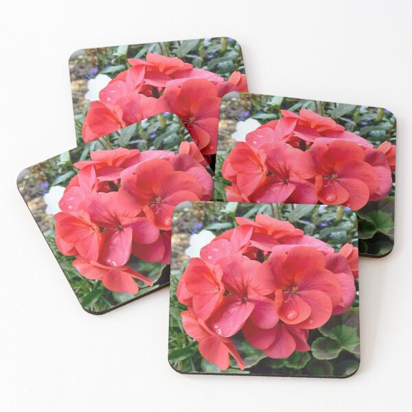 Artikelvorschau, RAINDROPS ON PETALS... entworfen und verkauft von ronsaunders47.