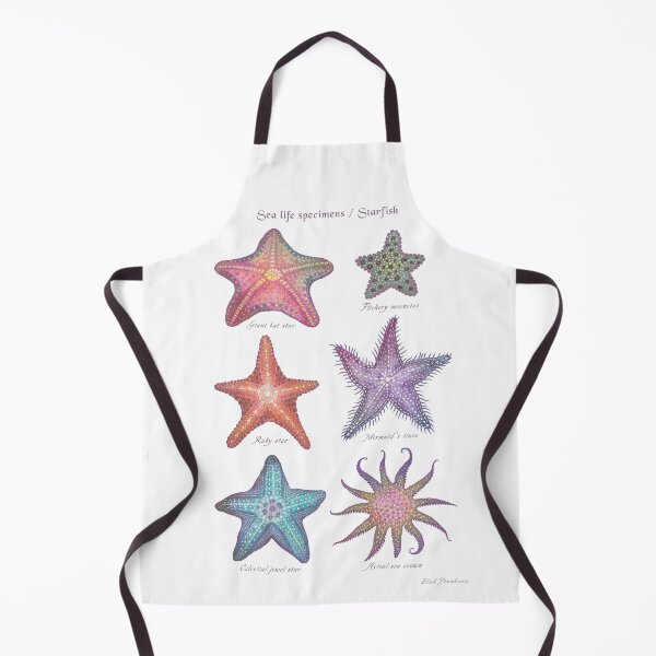 Aperçu de l'œuvre Spécimens de la vie marine - Starfish créée et vendue par Cabinet Of Curiosities by Vlad.