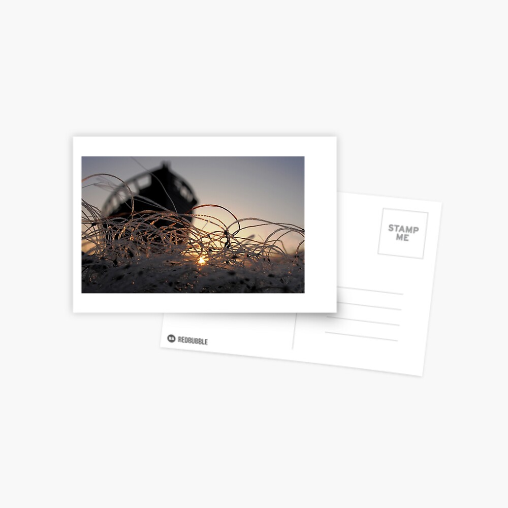 Item preview, Postcard designed and sold by wigs.