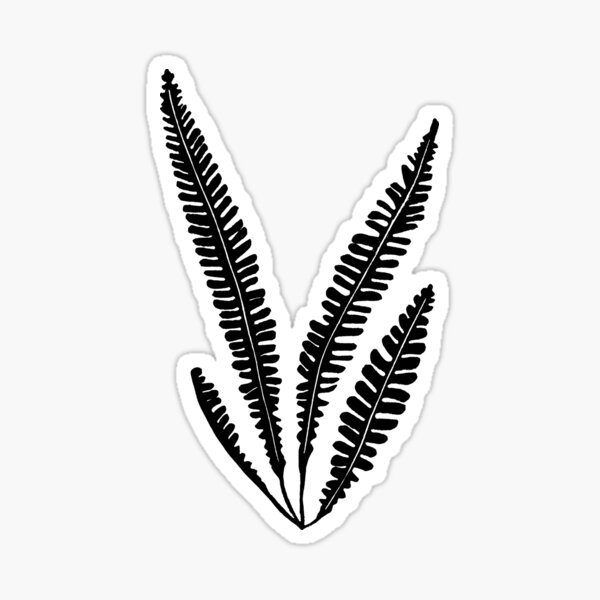 Item preview, Fern Polystichum lonchitis designed and sold by sabine84.