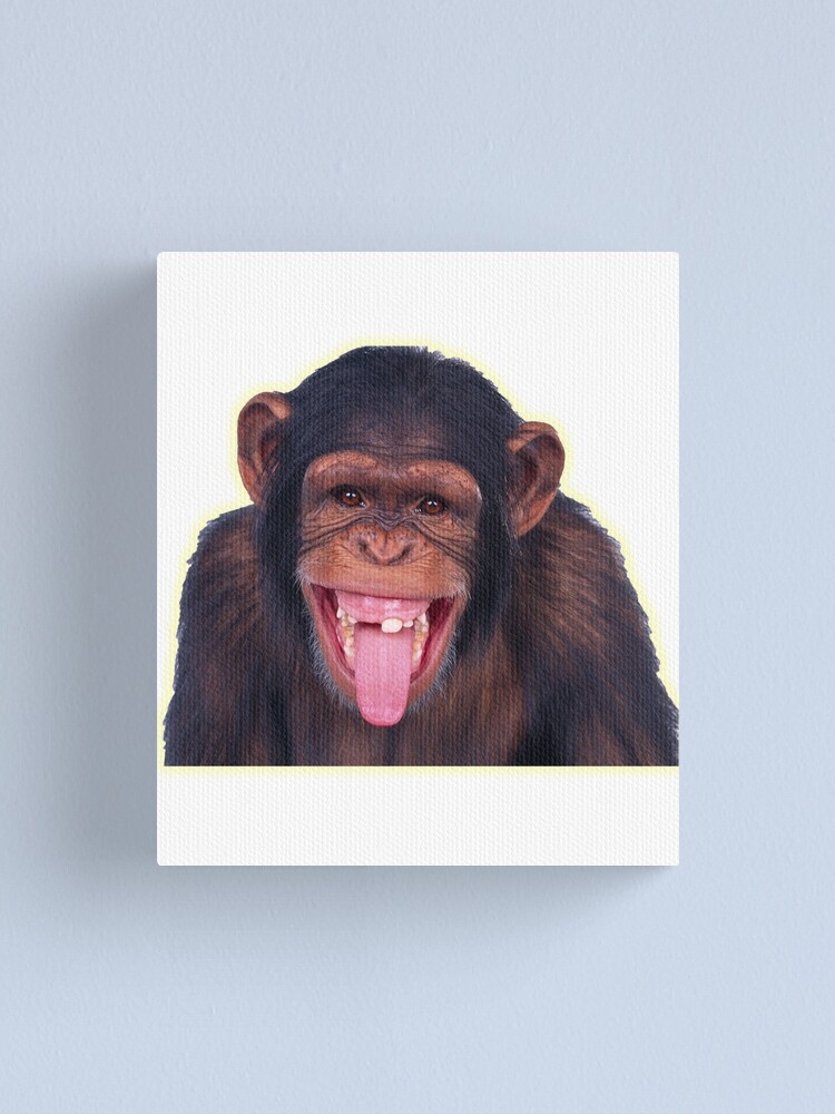 Funny and awesome monkey Canvas Print for Sale by Thibo85