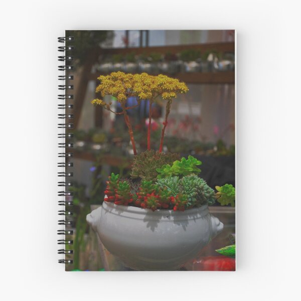 Item preview, Maceta de plantas.... designed and sold by cieloverde.