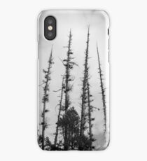 Six Trees iPhone Case
