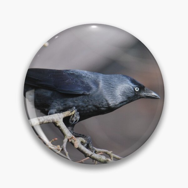 Item preview, Jackdaw  designed and sold by LJarts.