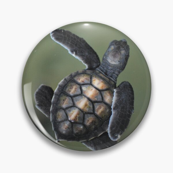 Item preview, Baby Turtle designed and sold by LJarts.