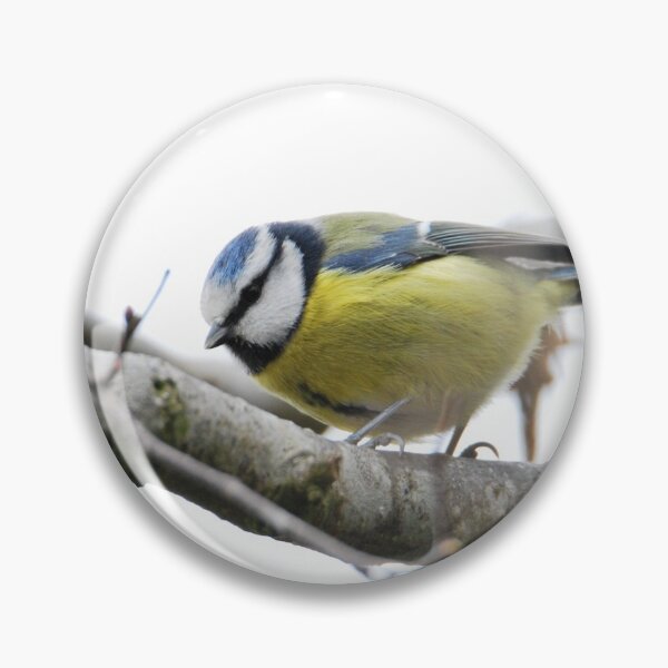 Item preview, Blue Tit  designed and sold by LJarts.