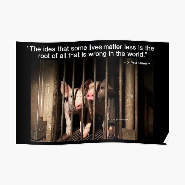Animal Rights Posters for Sale | Redbubble Animal Rights Posters for Sale | Redbubble