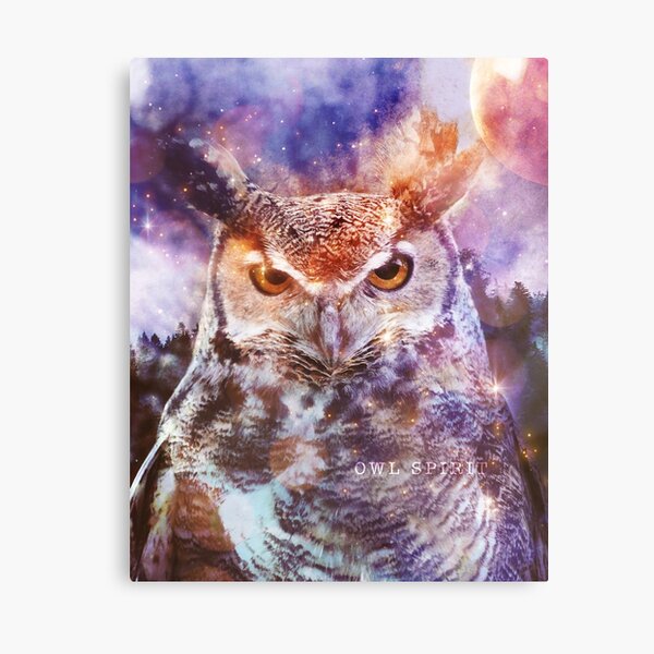 Owl Spirit Animal - Shamanic Power Animal Canvas Print