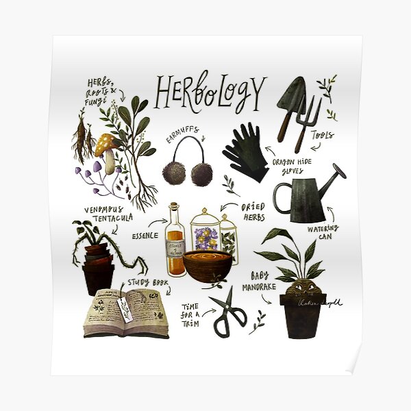 herbology-chart-poster-for-sale-by-ompongalfina-redbubble