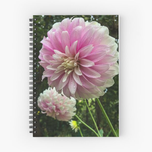 Item preview, Pink Dahlia designed and sold by polyhymnia14.
