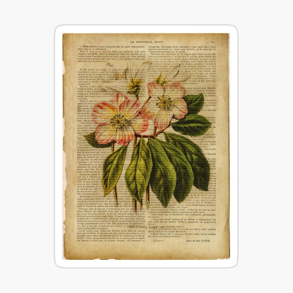 Botanical print, on old book page - flowers