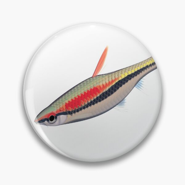 Item preview, Denison Barb designed and sold by Rhys Wescott.