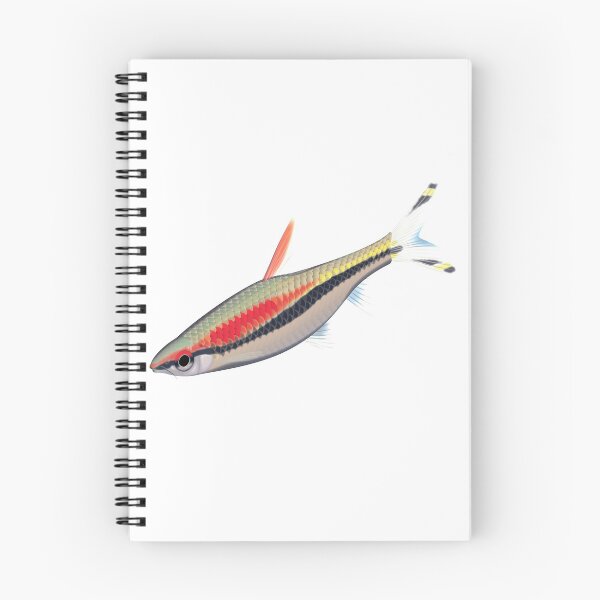 Item preview, Denison Barb designed and sold by Rhys Wescott.
