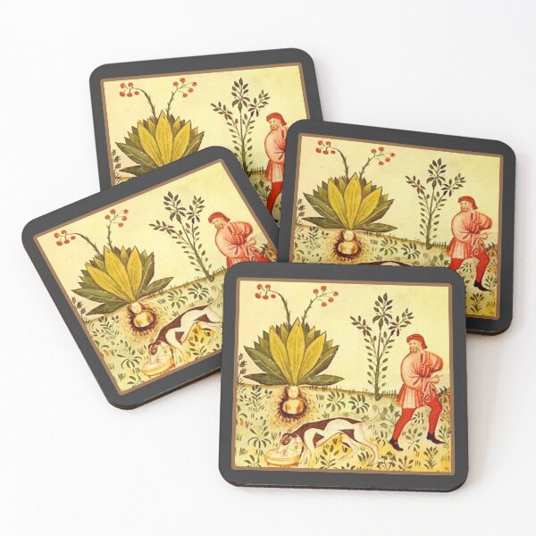 Item preview, Herbology garden designed and sold by ompongalfina.