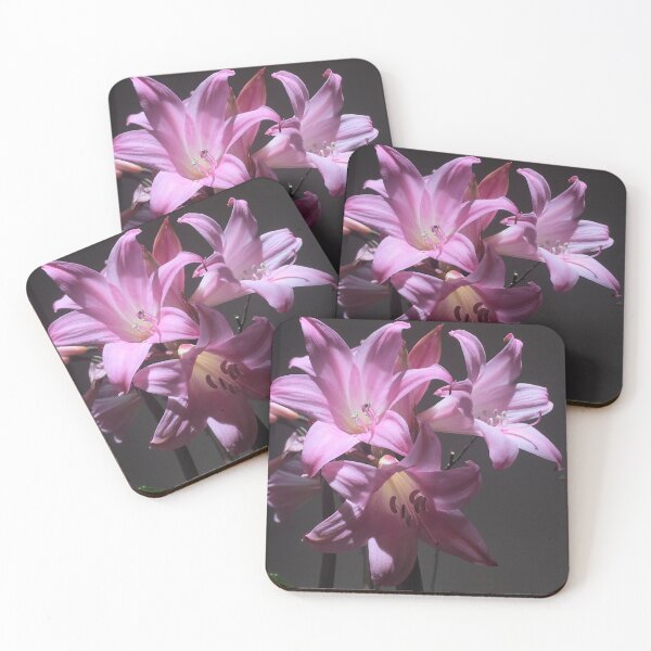 Item preview, Amaryllis Belladonna designed and sold by Pickleisgreen.