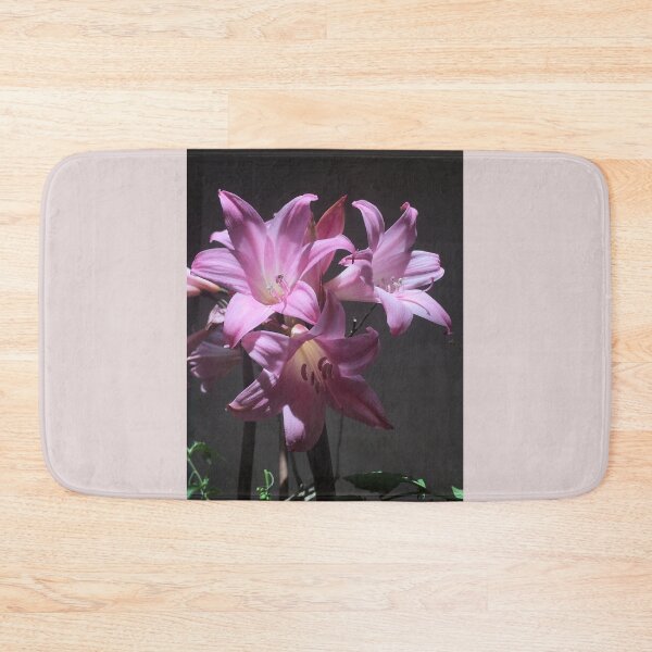 Item preview, Amaryllis Belladonna designed and sold by Pickleisgreen.