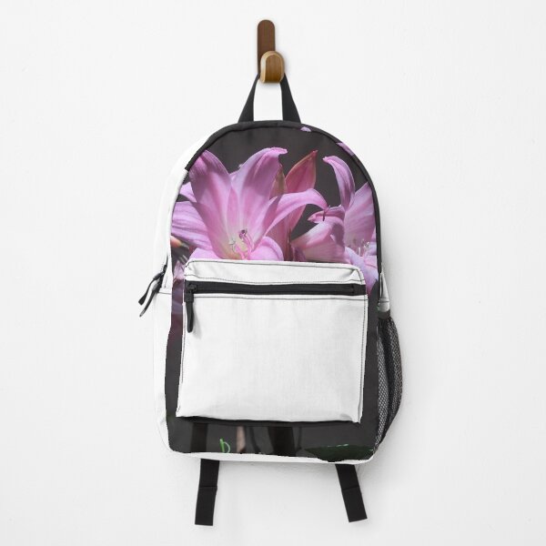 Item preview, Amaryllis Belladonna designed and sold by Pickleisgreen.