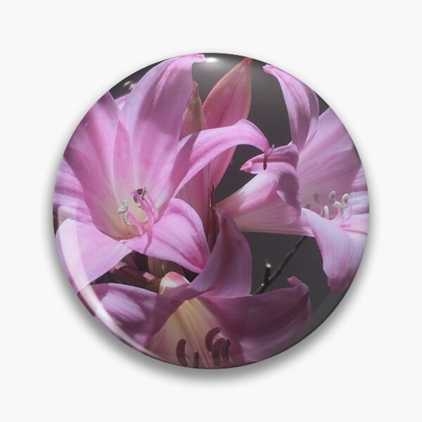Item preview, Amaryllis Belladonna designed and sold by Pickleisgreen.