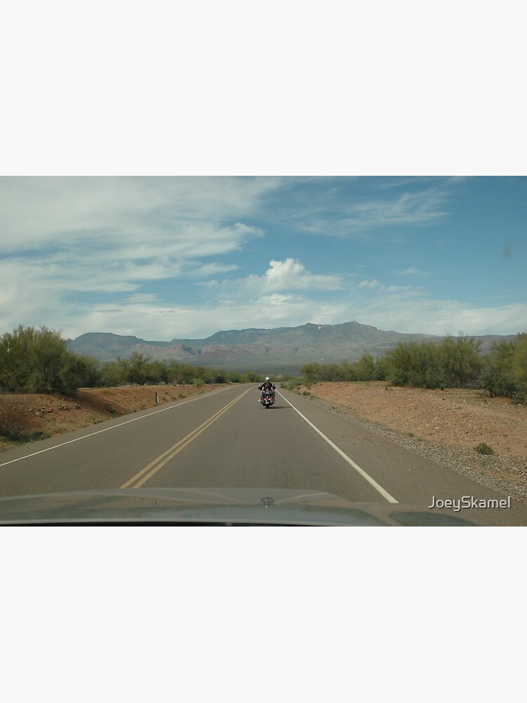 Arizona State Highway 88 by JoeySkamel