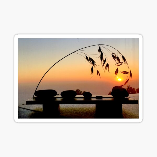 Grass and pebbles in sunset Sticker