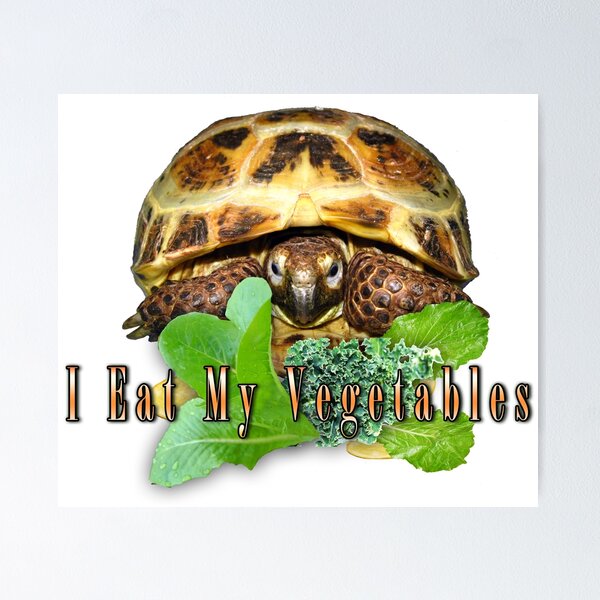 Tortoise - I Eat My Vegetables Poster