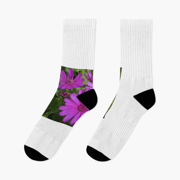 Item preview, Purple designed and sold by D-GaP.