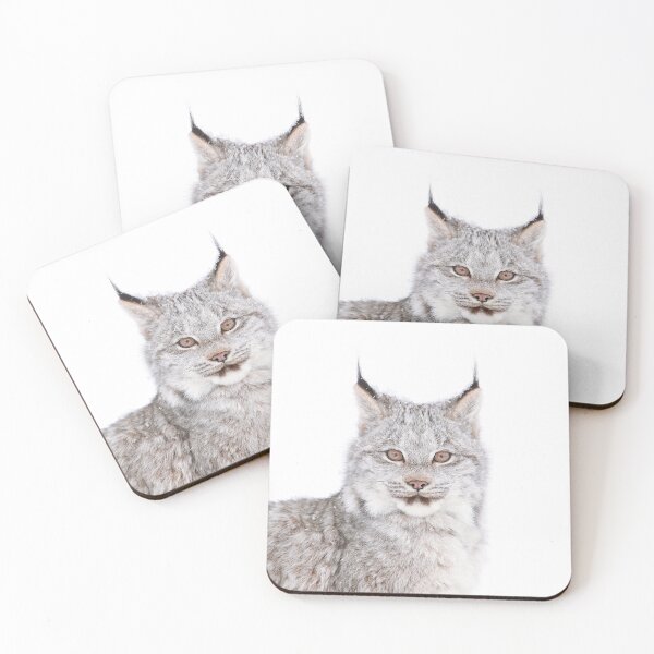 Item preview, Canada Lynx Kitten designed and sold by mlorenz.