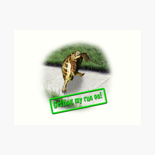 Tortoise - Getting my run on Art Print