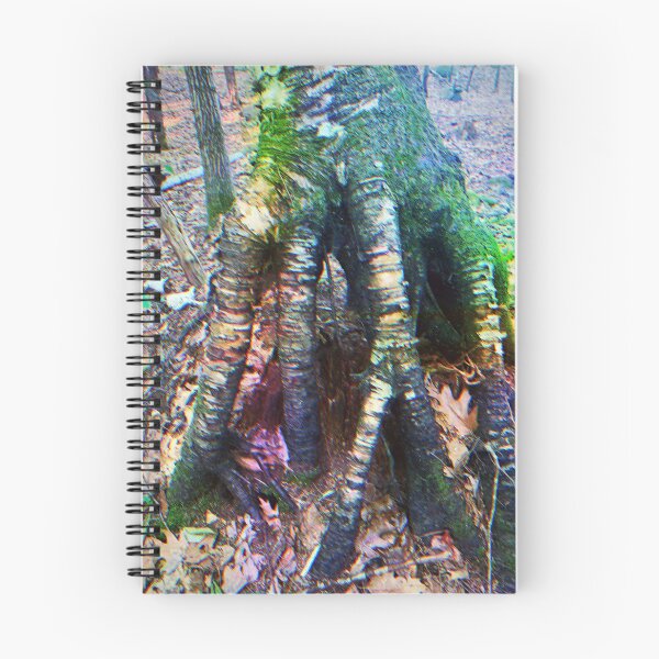 Aperçu de l'œuvre Vide d'arbre créée et vendue par bubbleANDbrew.