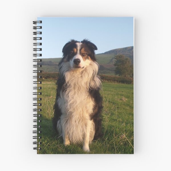 Item preview, Our Laddie. designed and sold by Michael Haslam.
