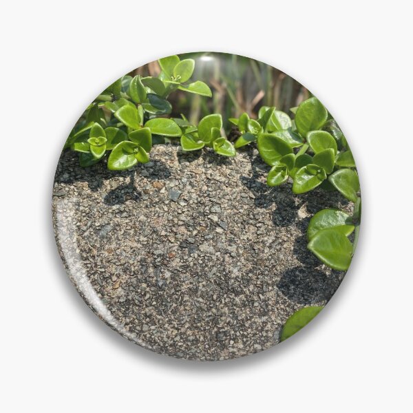 Item preview, Green Creeper attached to Concrete Block designed and sold by Sinemathk.