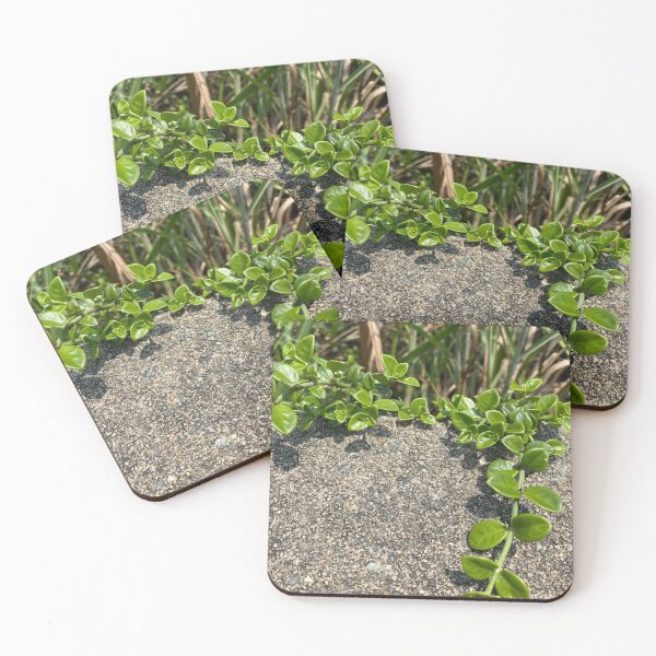 Item preview, Green Creeper attached to Concrete Block designed and sold by Sinemathk.