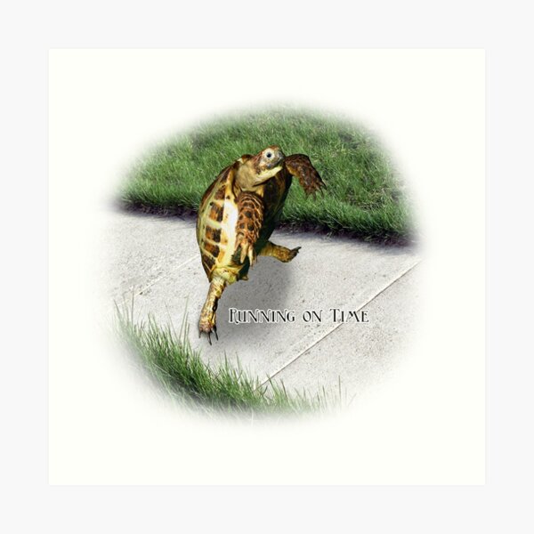 Tortoise - Running on time Art Print