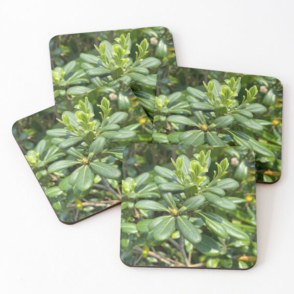 Item preview, Green Budding Plant designed and sold by Sinemathk.