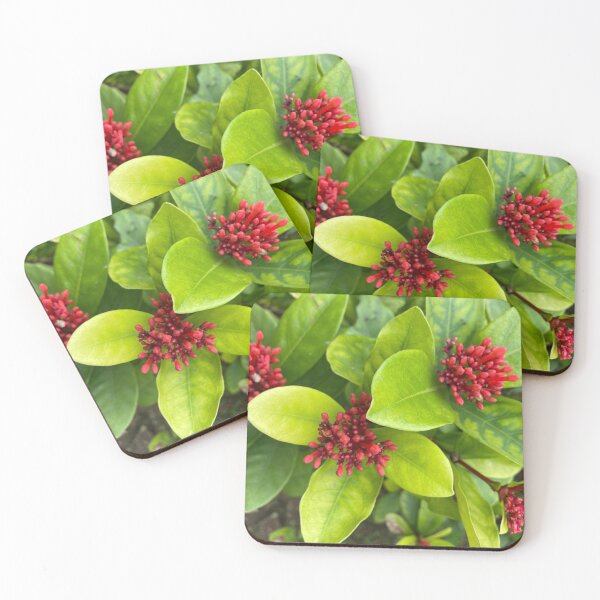 Item preview, Red Scarlet Jungleflame Flower Buds designed and sold by Sinemathk.