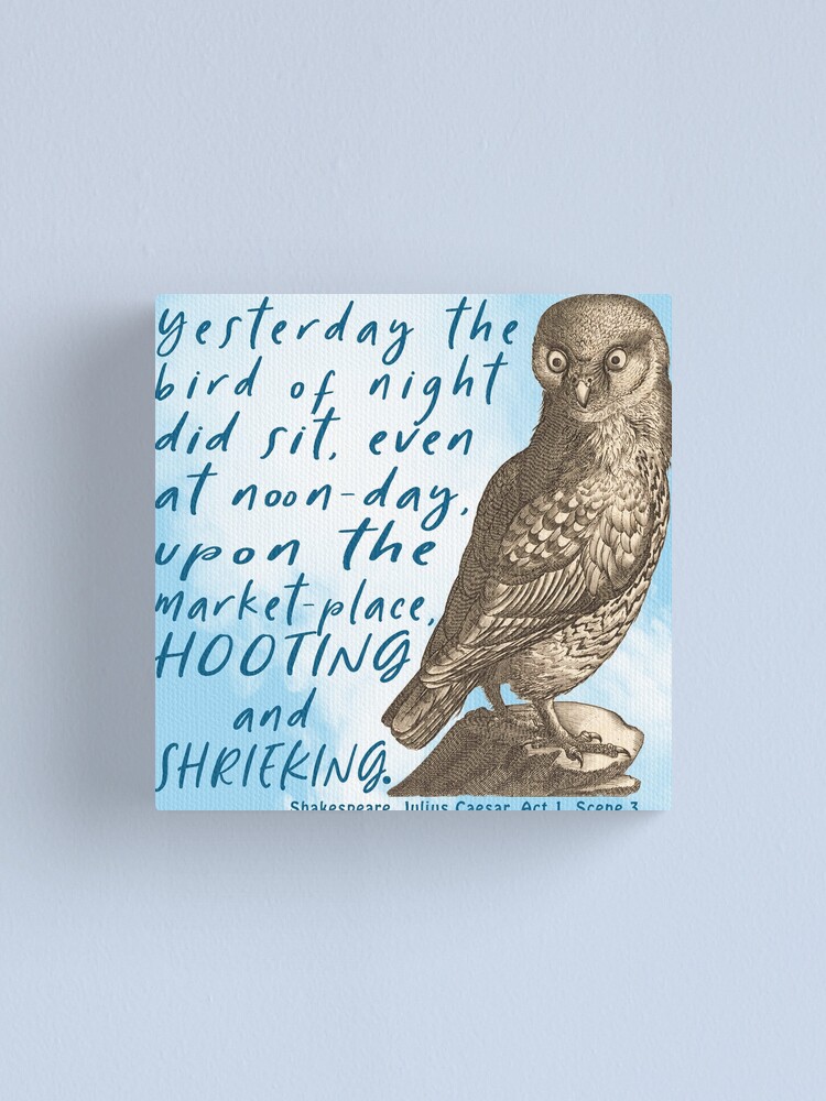 Impression Sur Toile Citation De Jules Cesar Par Shakespeare Un Hibou Et Le Surnaturel Par Bushwombat Redbubble