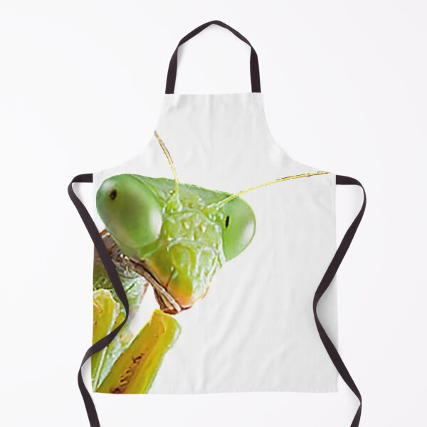 Item preview, Praying Mantis designed and sold by jahlifemusic.