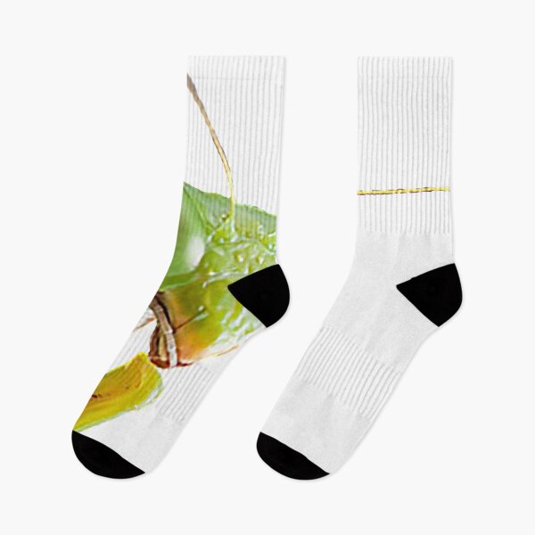 Item preview, Praying Mantis designed and sold by jahlifemusic.